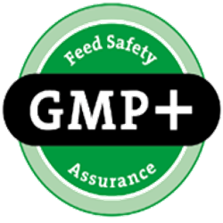 GMP logo