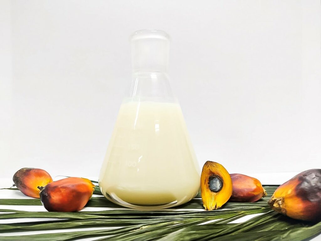 RBD Palm Kernel Stearin