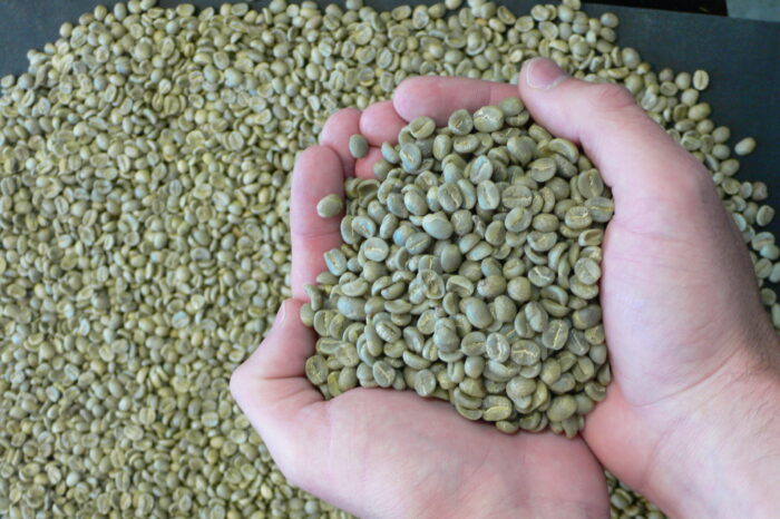 Arabica Beans