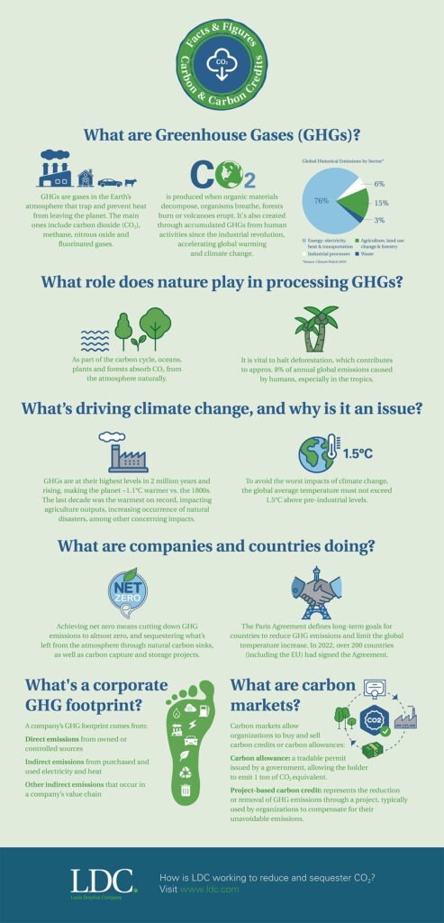 Carbon and Carbon Credits Infographic
