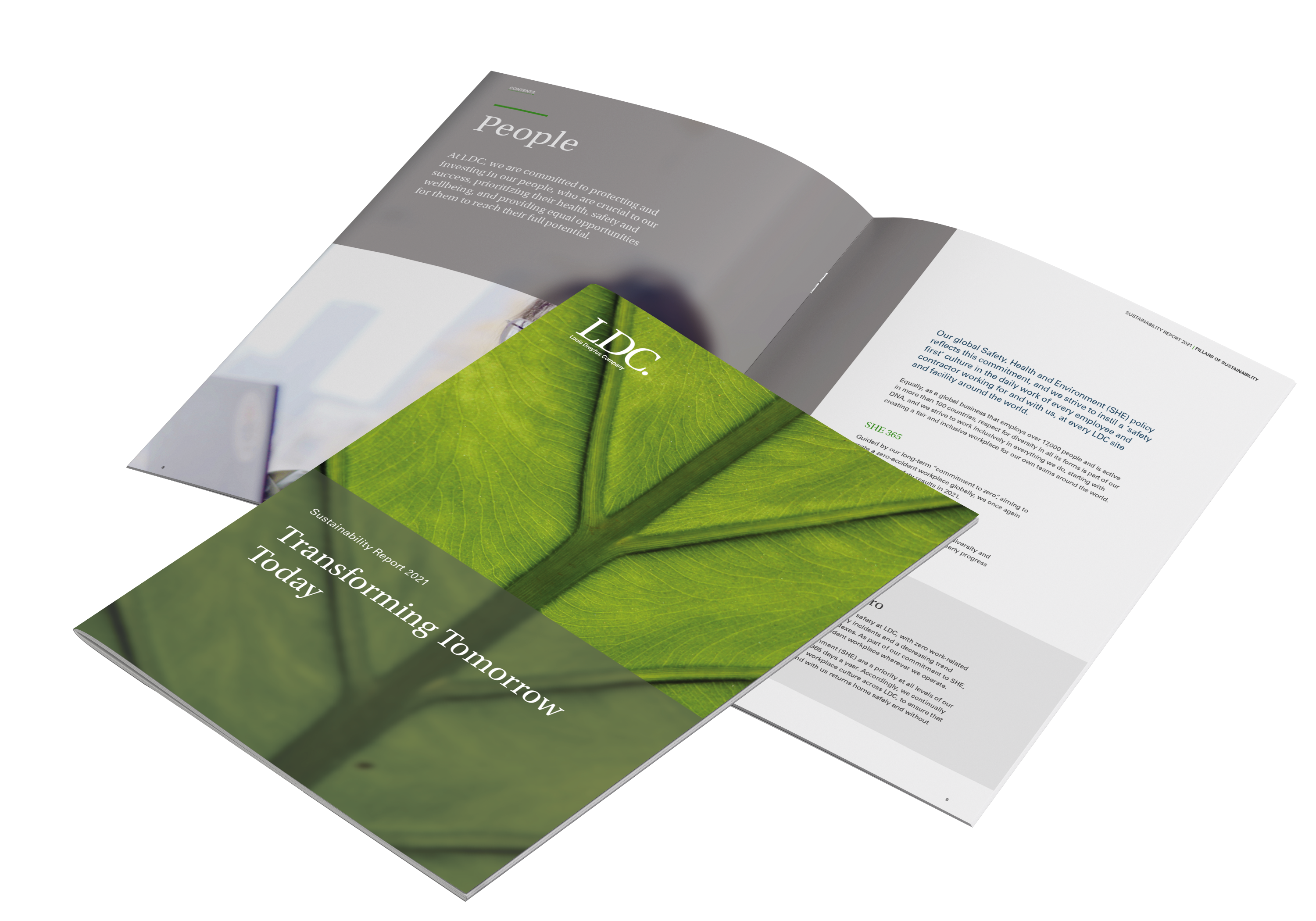 Sustainability Reporting