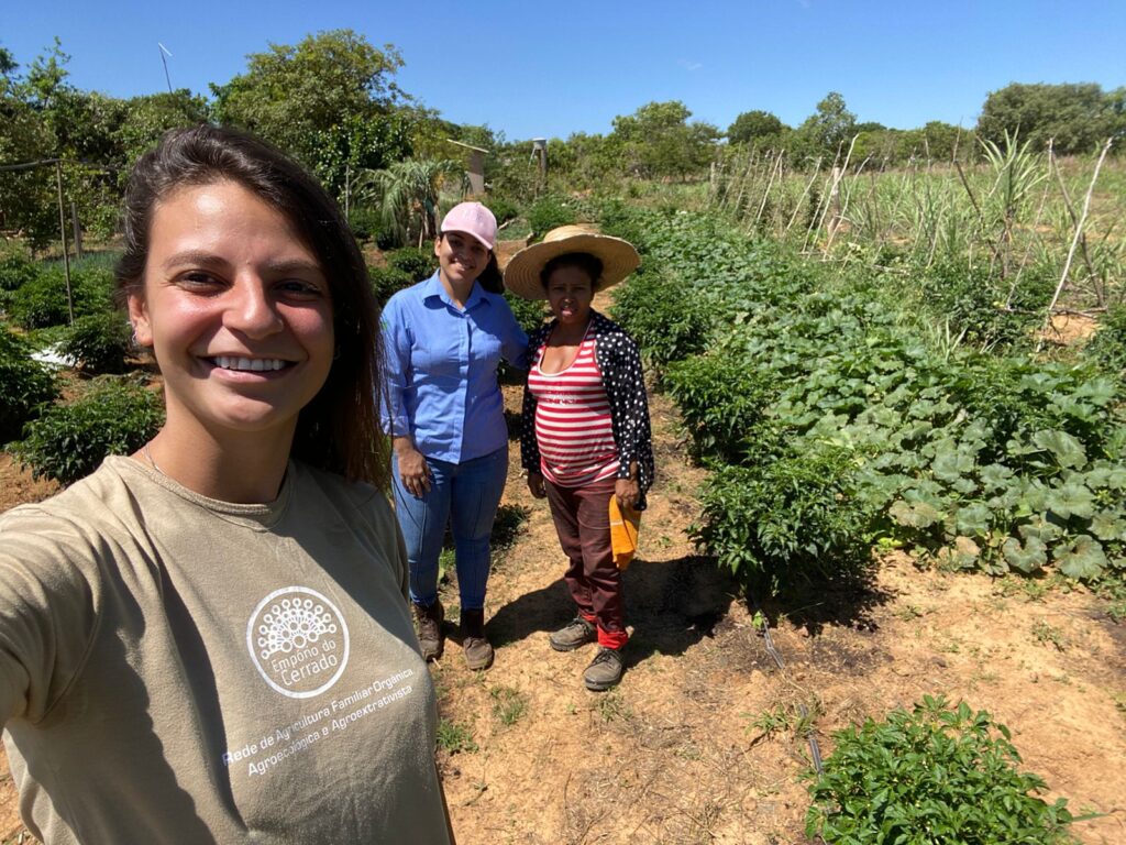 Advancing Sustainable Practices in the Cerrado Savanna