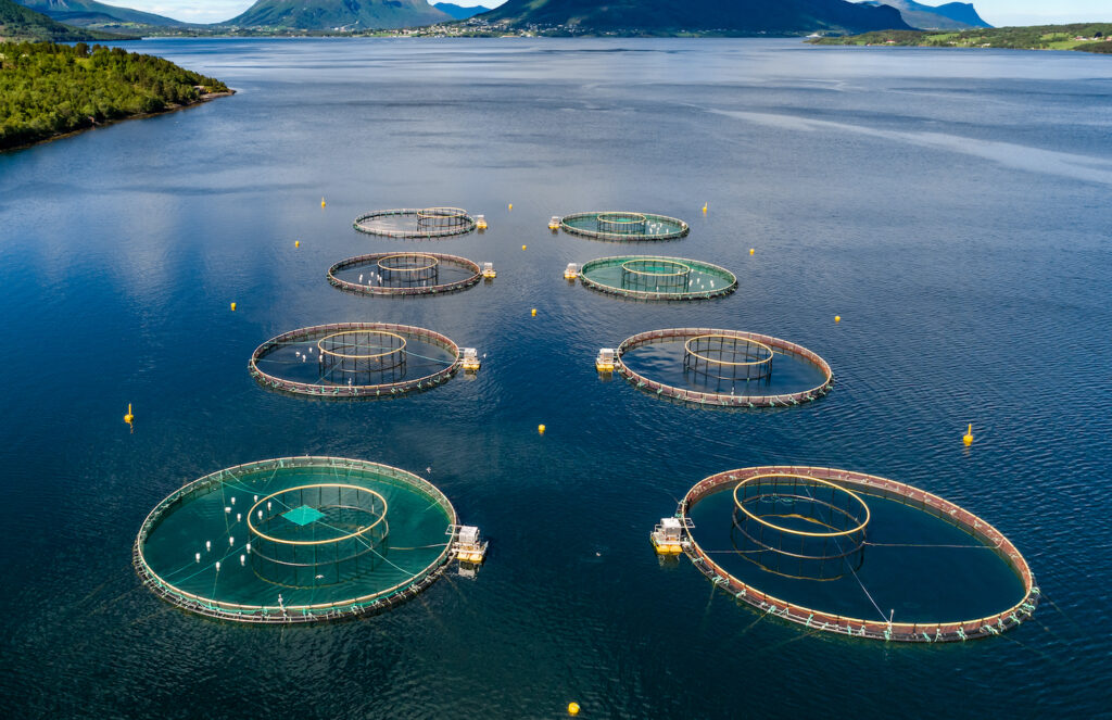 Aquicultura