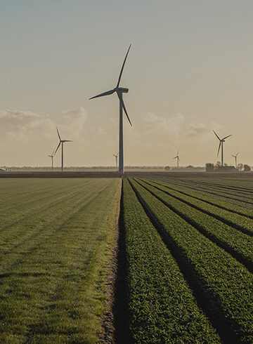 7. Energia Limpa e Acessível