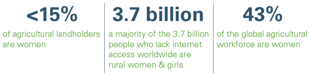 rural women farmer infographic