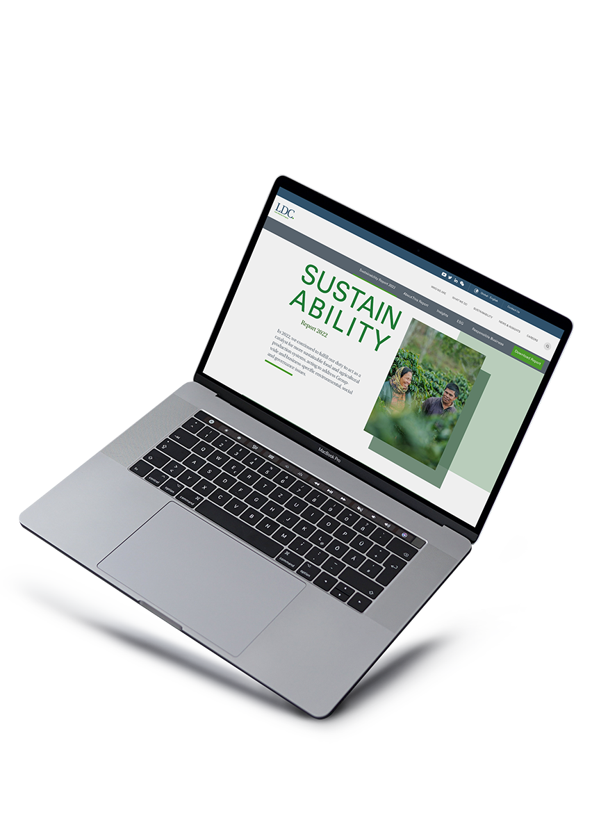 Explore our Sustainability Report 2022