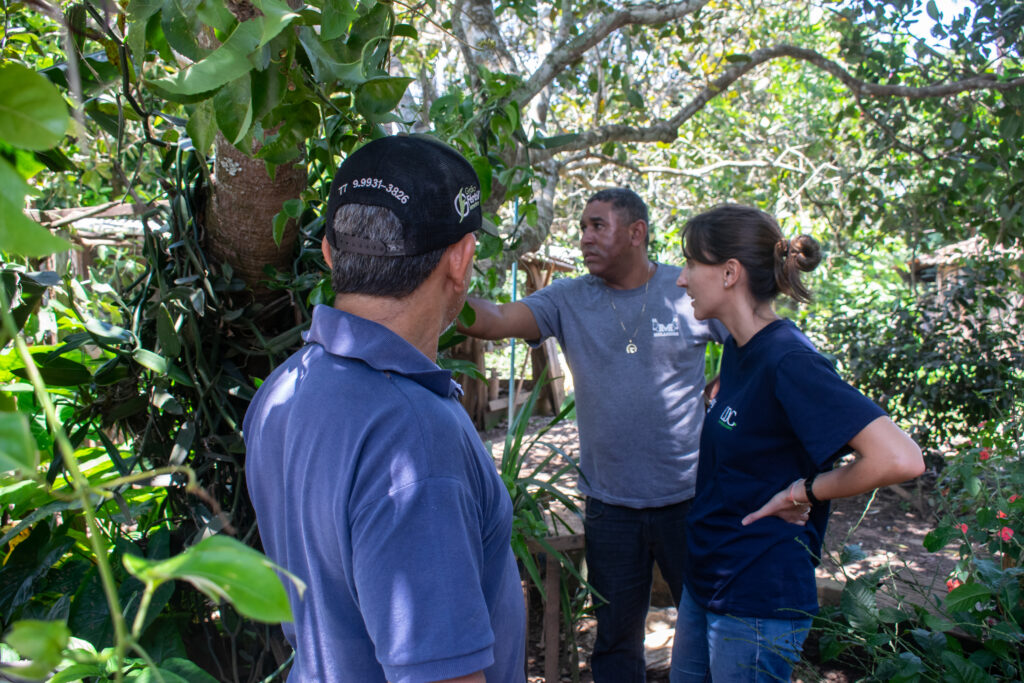 Advancing Sustainable Practices in the Cerrado Savanna
