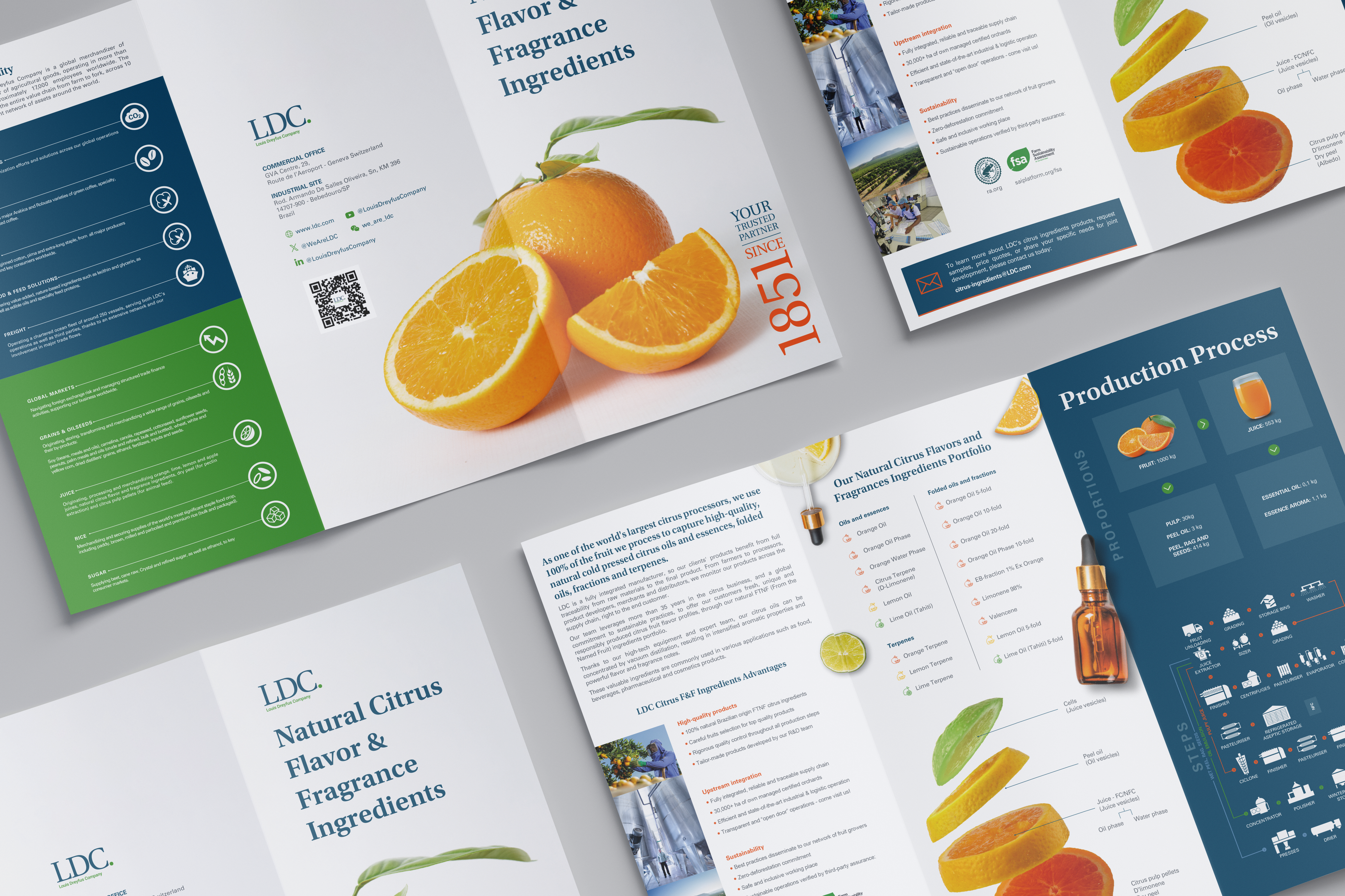 LDC Natural Citrus Mockup 4