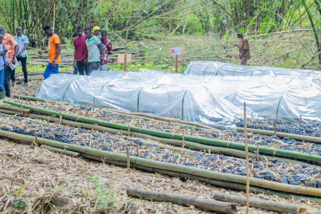 Louis Dreyfus Foundation and Earthworm Project in Ivory Coast to support smallholder farmers