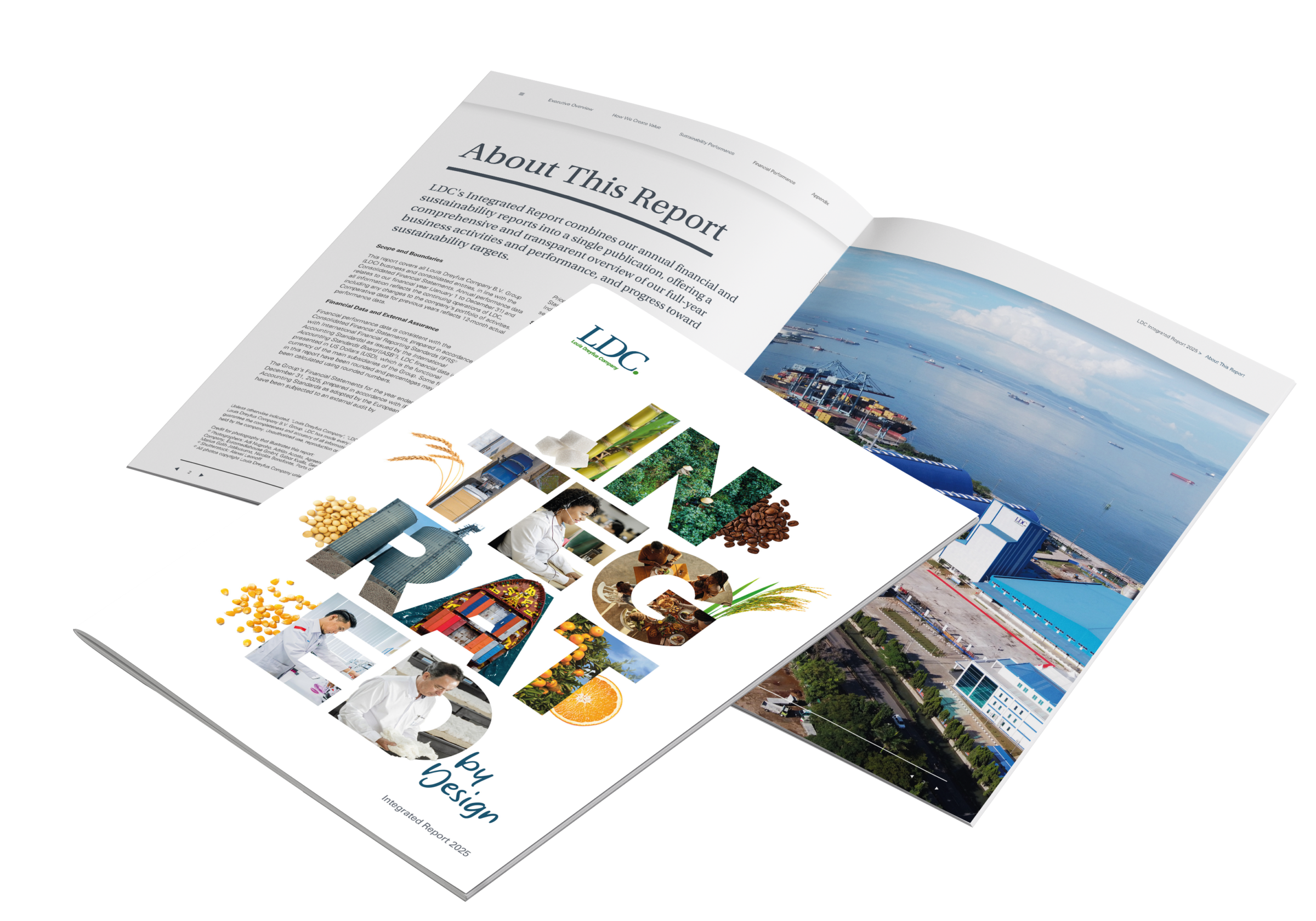 Download our 2025 Integrated Report