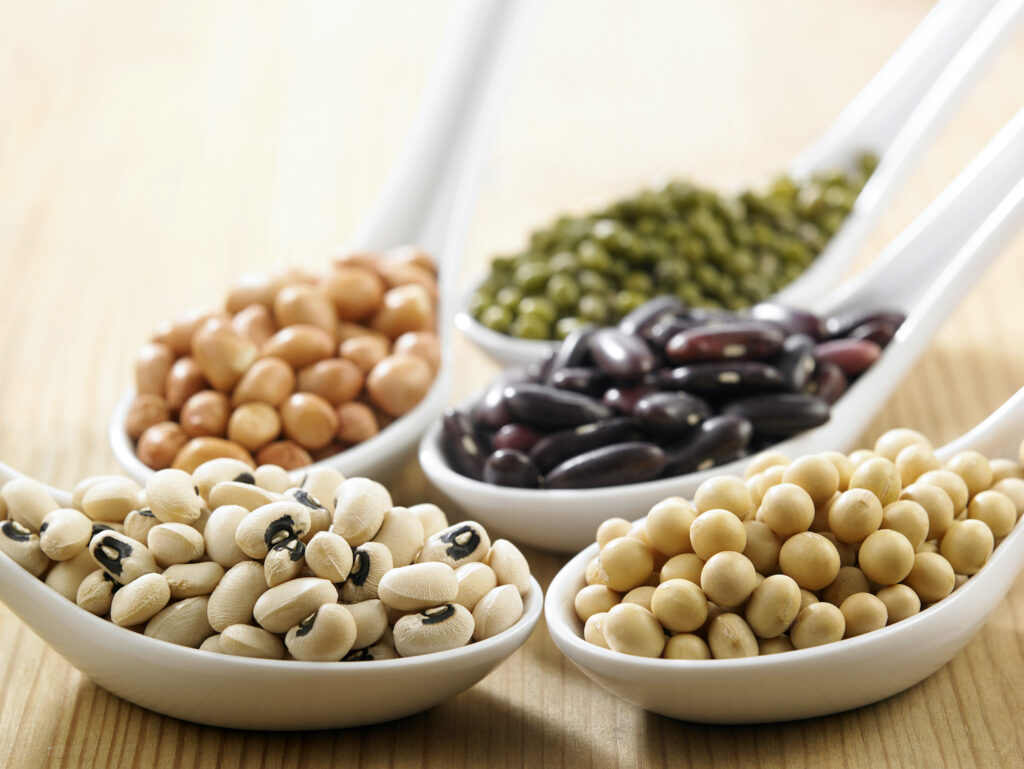 Protein Alternatif