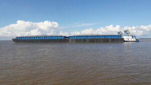 Muatan Fluvial