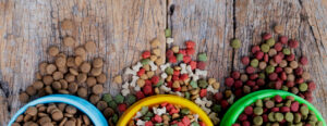 Raciones y Alimentos para Mascotas