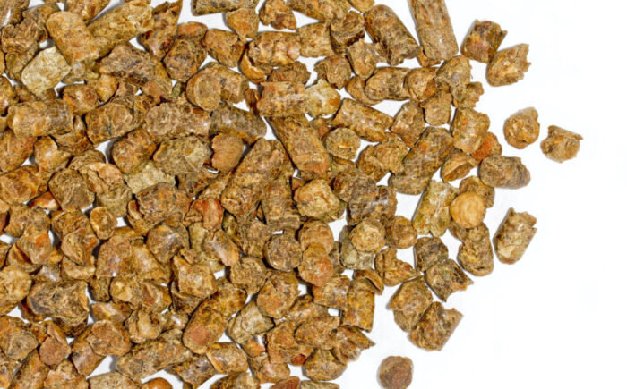 Gránulos de pulpa de cítricos