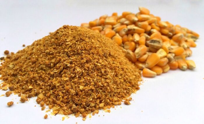 Cereales destilados secos con solubles (DDGS)