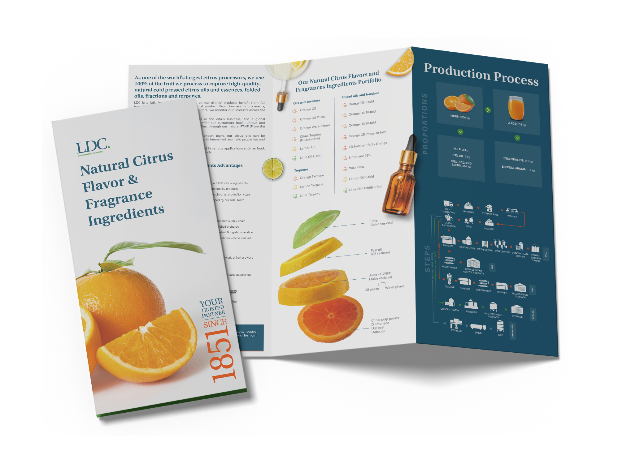 LDC Natural Citrus Mockup 5