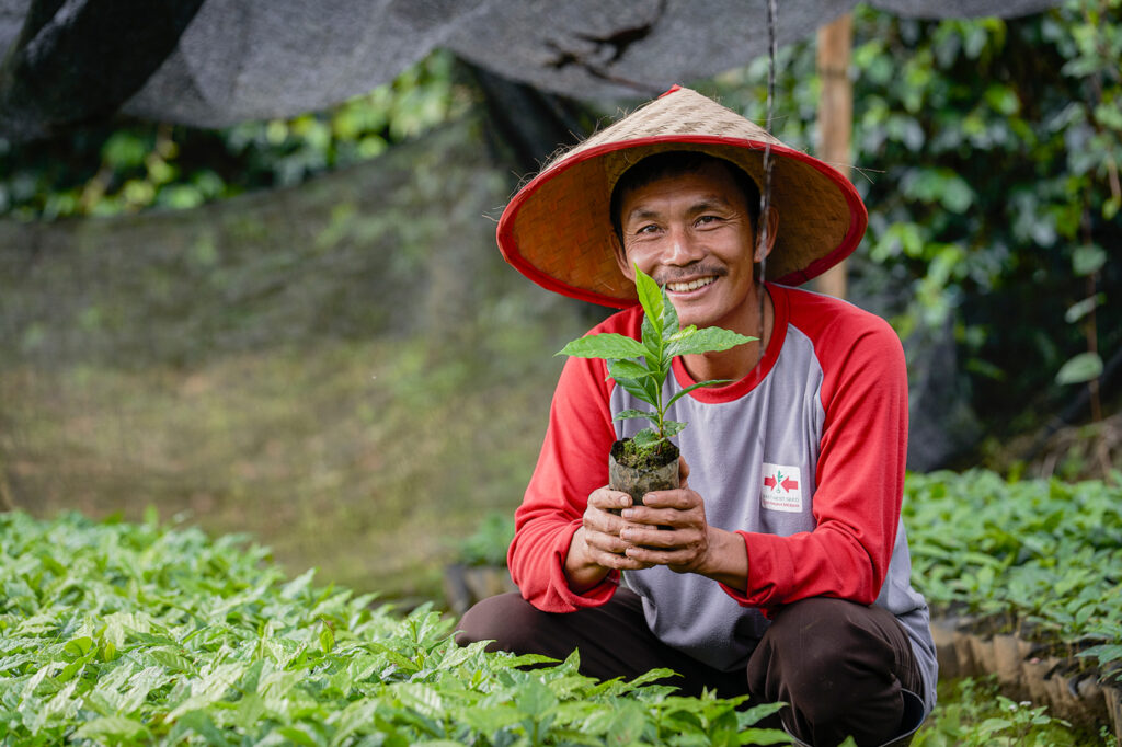 Farmer with young coffee plant