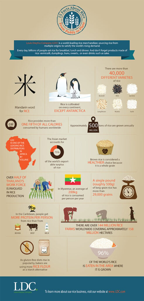rice_infographic-blog-ES.png