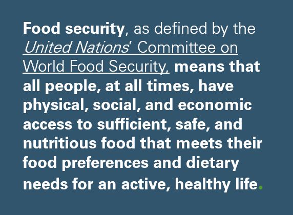 world-food-day-UN-food-security-visual-1