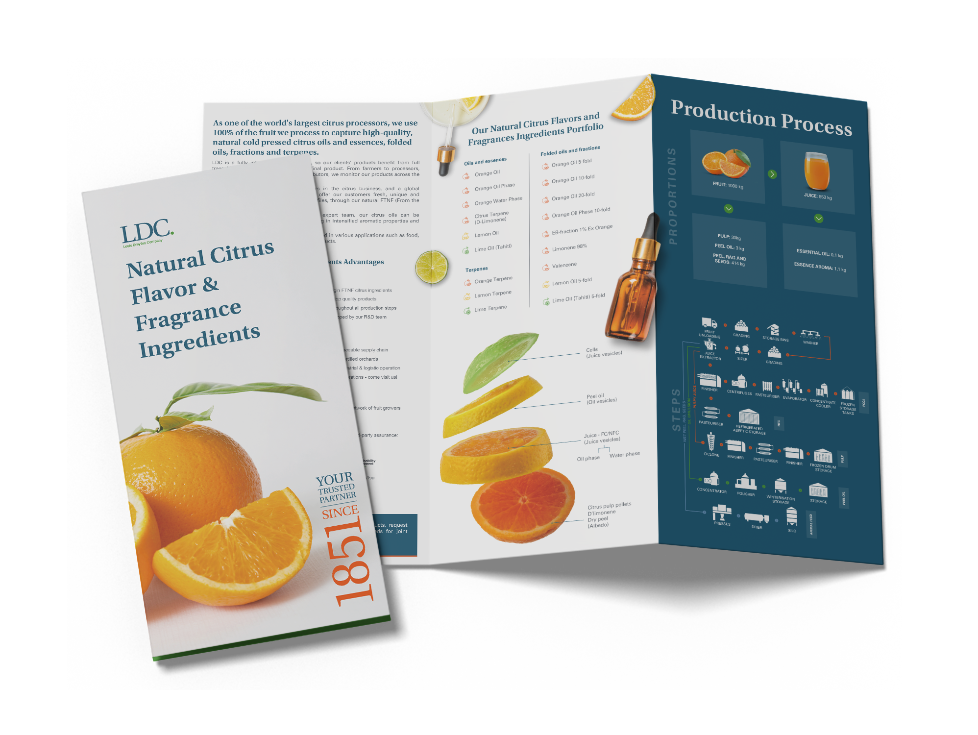 LDC Natural Citrus Mockup 5