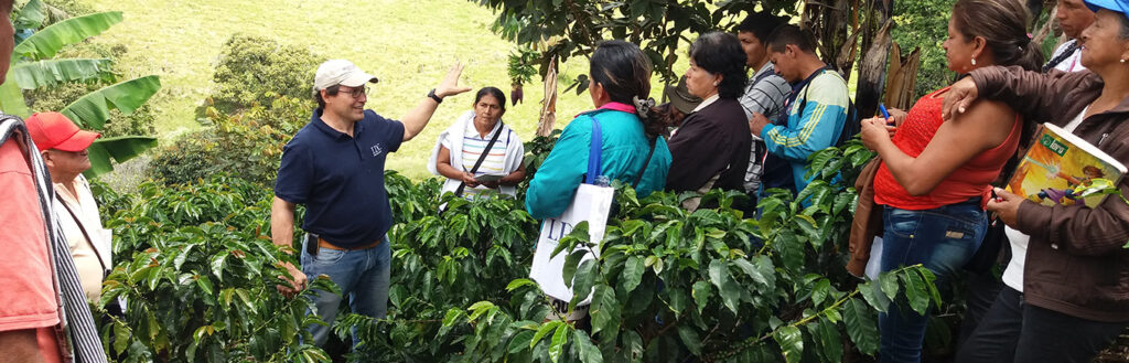 Destilado de ácido graso de coco (CFAD)