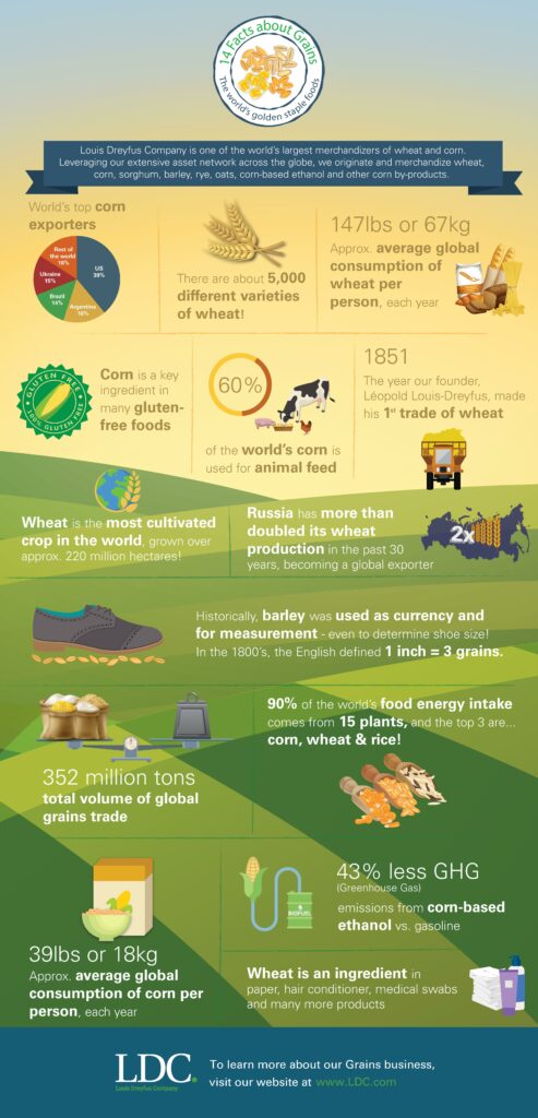 blog-grains-infographic-ES.jpg