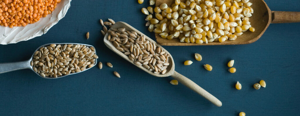 Nuevas proteínas e ingredientes