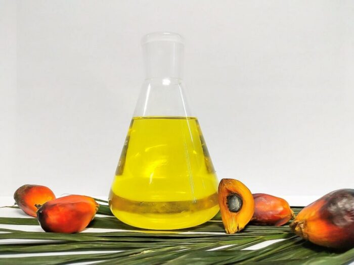RBD Palm Olein
