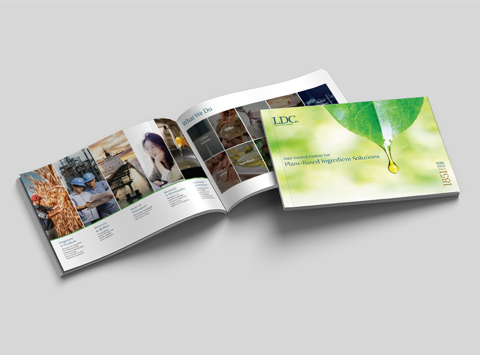 brochure_mockup