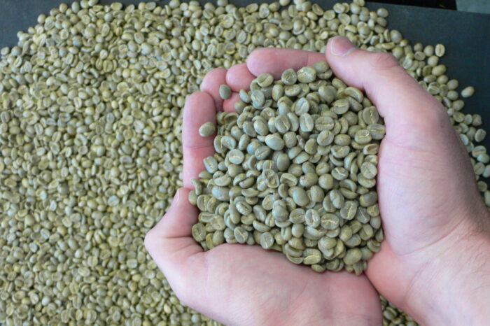 Arabica Beans