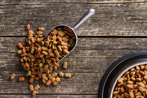 lecithin-animal-and-pet-food