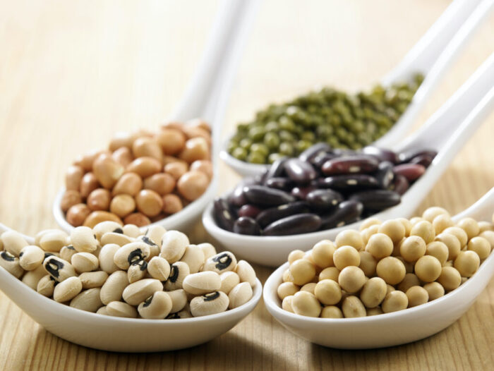 Protein thay thế
