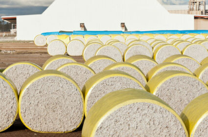 Australian Cotton JV Restructured 