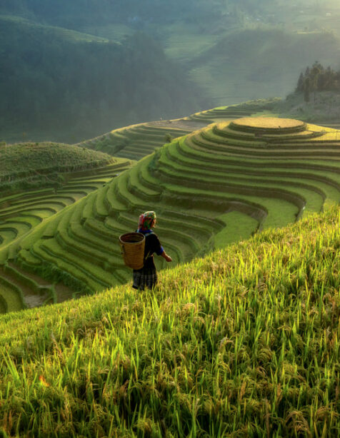 Sustainability