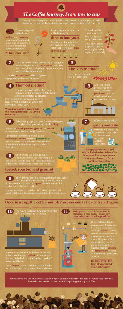 Coffee_Infographic01.jpg