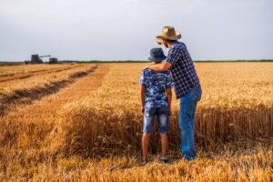 Farmers,Are,Standing,In,Their,Wheat,Field,While,The,Harvesting