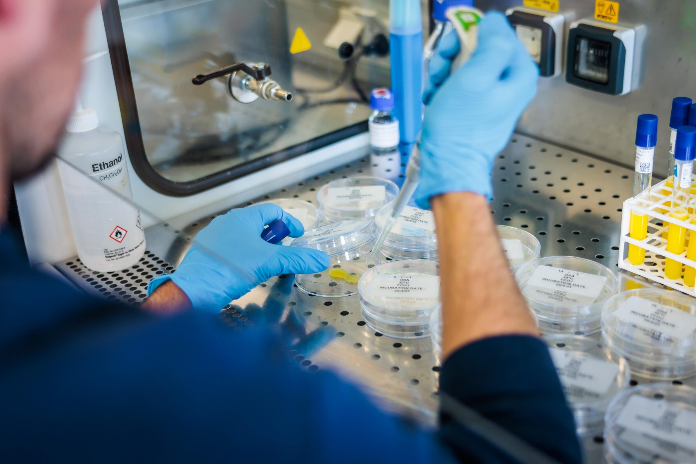 Food Science Insights: Conversation With R&D Analyst, Paulo Barsanelli