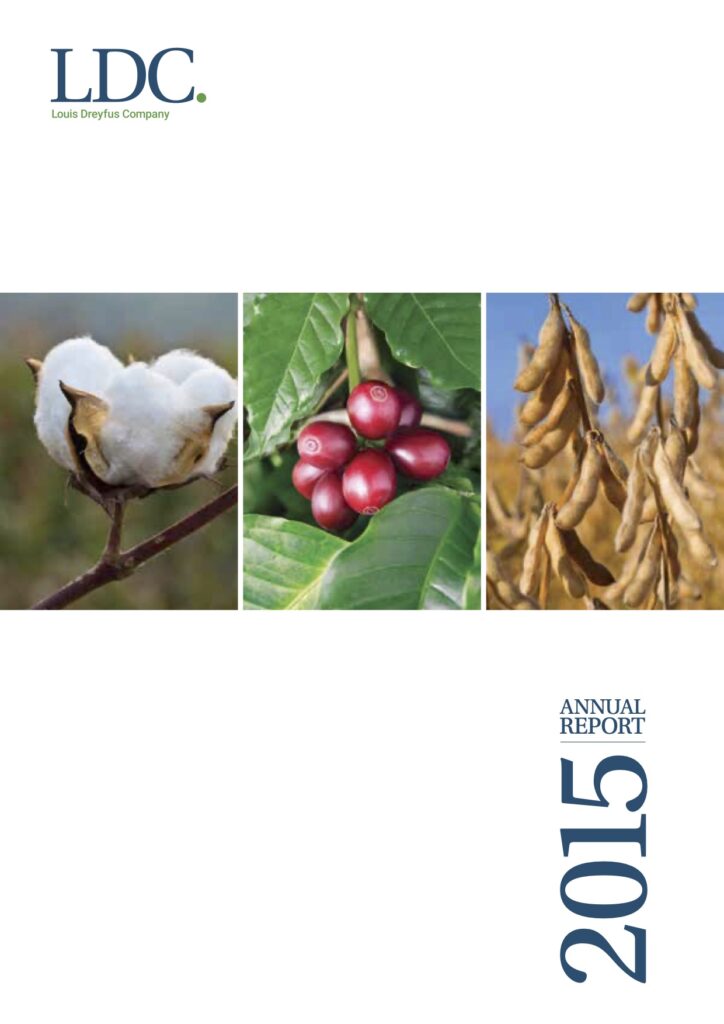 LDC annual report 2015
