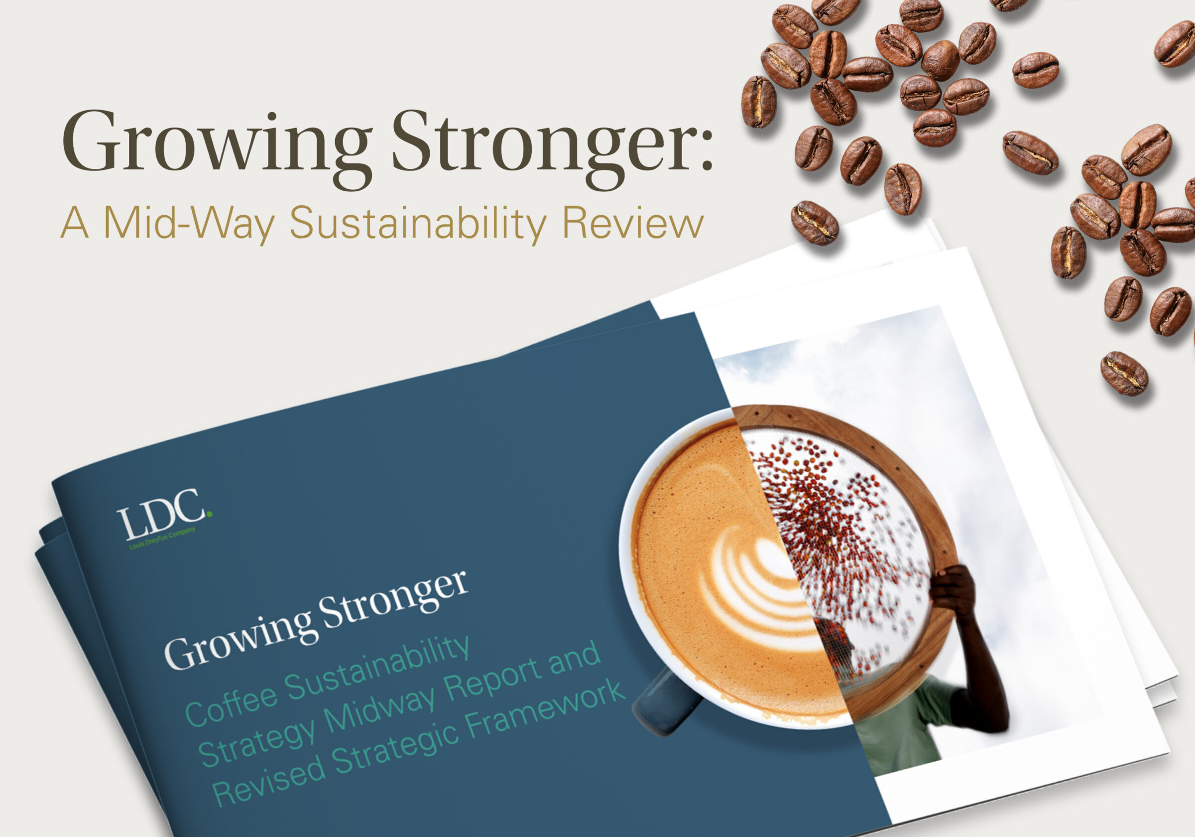 Discover our Coffee Sustainability Strategy Mid-Way Report