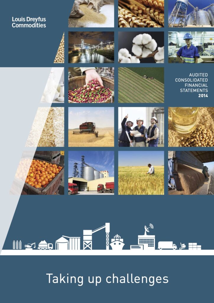 LDC consolidated financial statements 2014