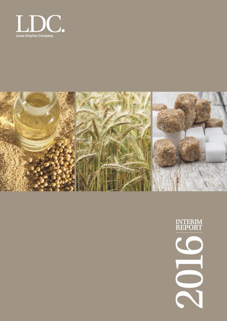LDC interim report 2016