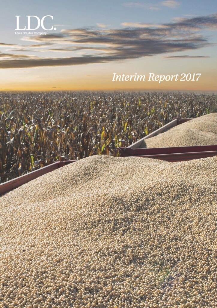 LDC interim report 2017
