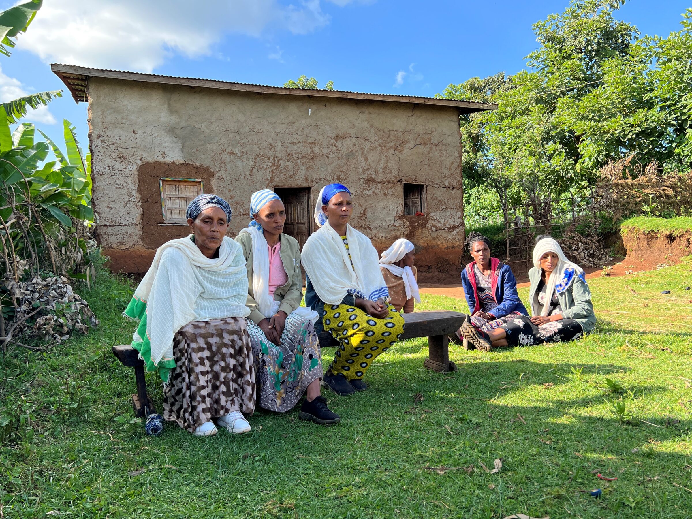 Enhancing Agricultural Resilience, Food Security and Livelihoods in Ethiopia