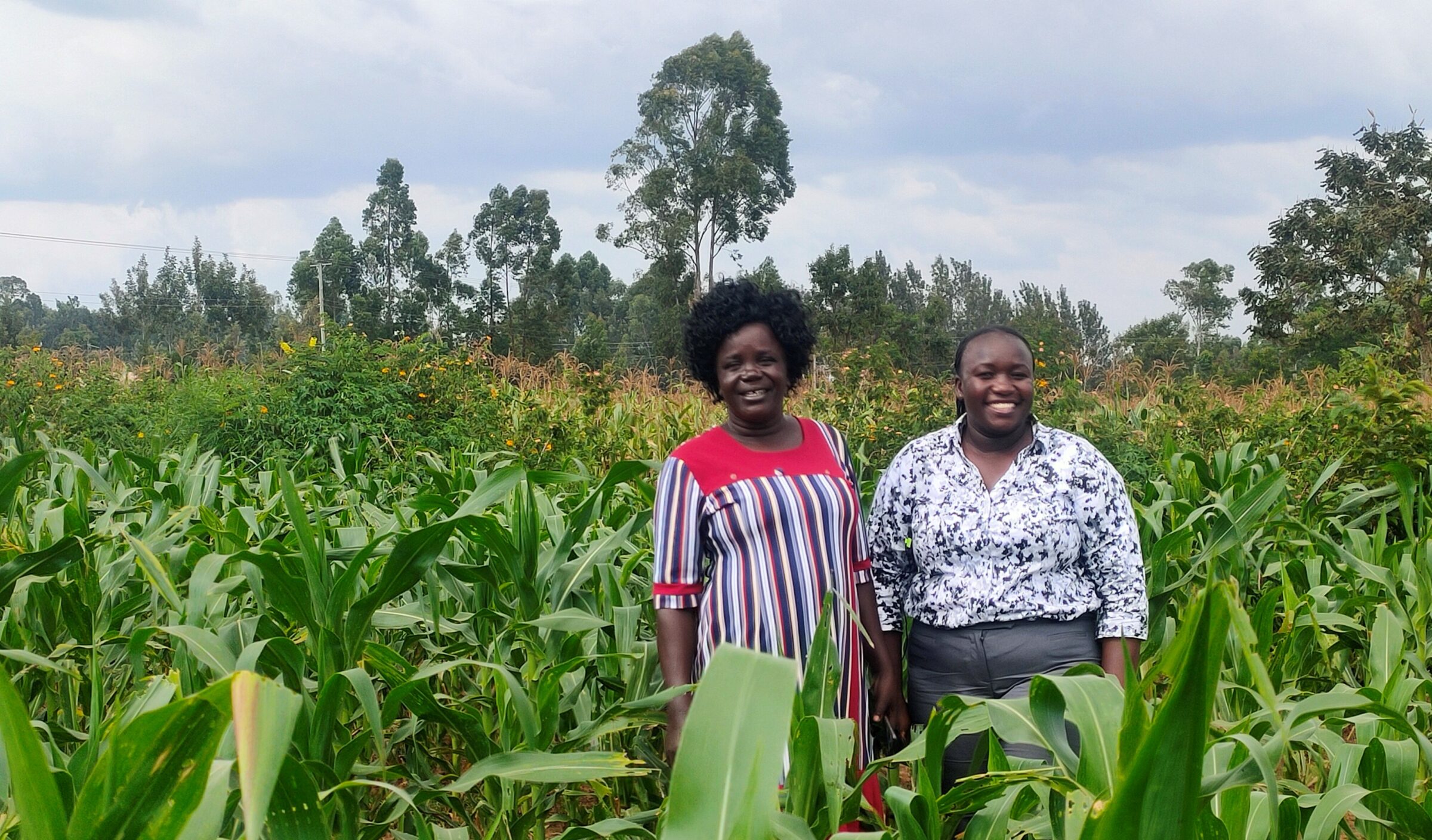 Empowering Farming Communities in Kenya to Support Food Security