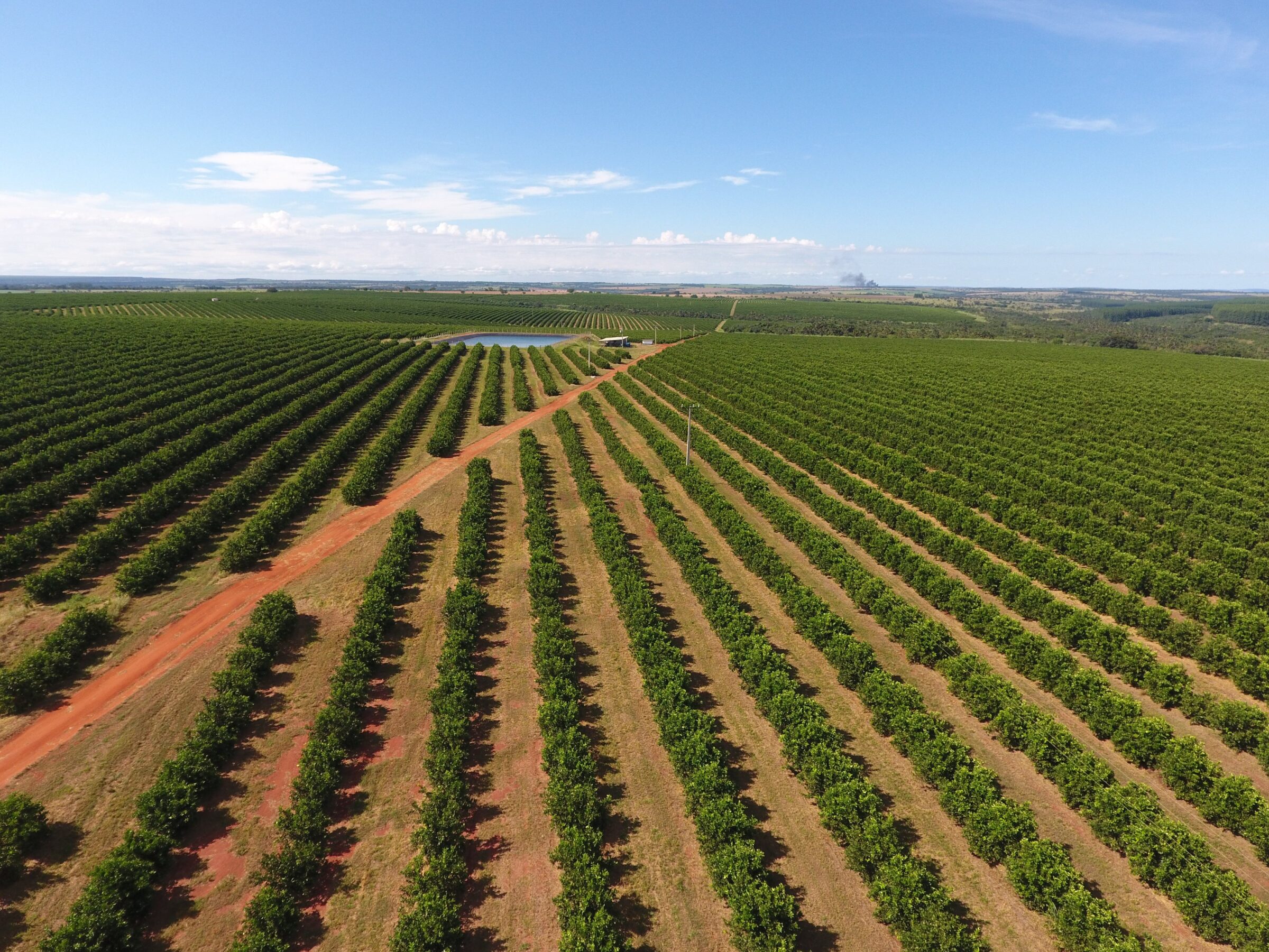 Agronomists & Farmers: A Partnership for Sustainable Growth