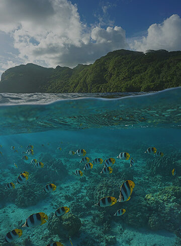 14. Life Below Water