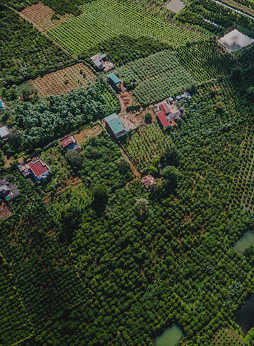 15. Life on Land