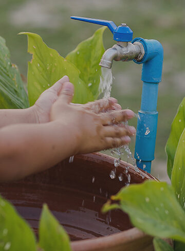 6. Clean Water & Sanitisation