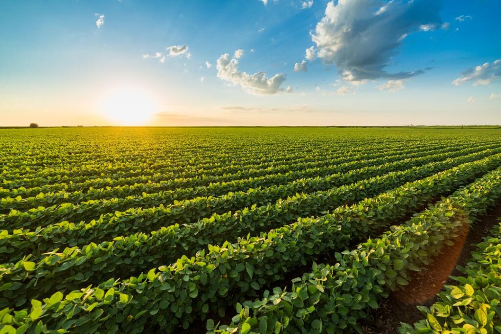 Louis Dreyfus Company Announces Construction of a Soybean Processing Plant in Ohio, US