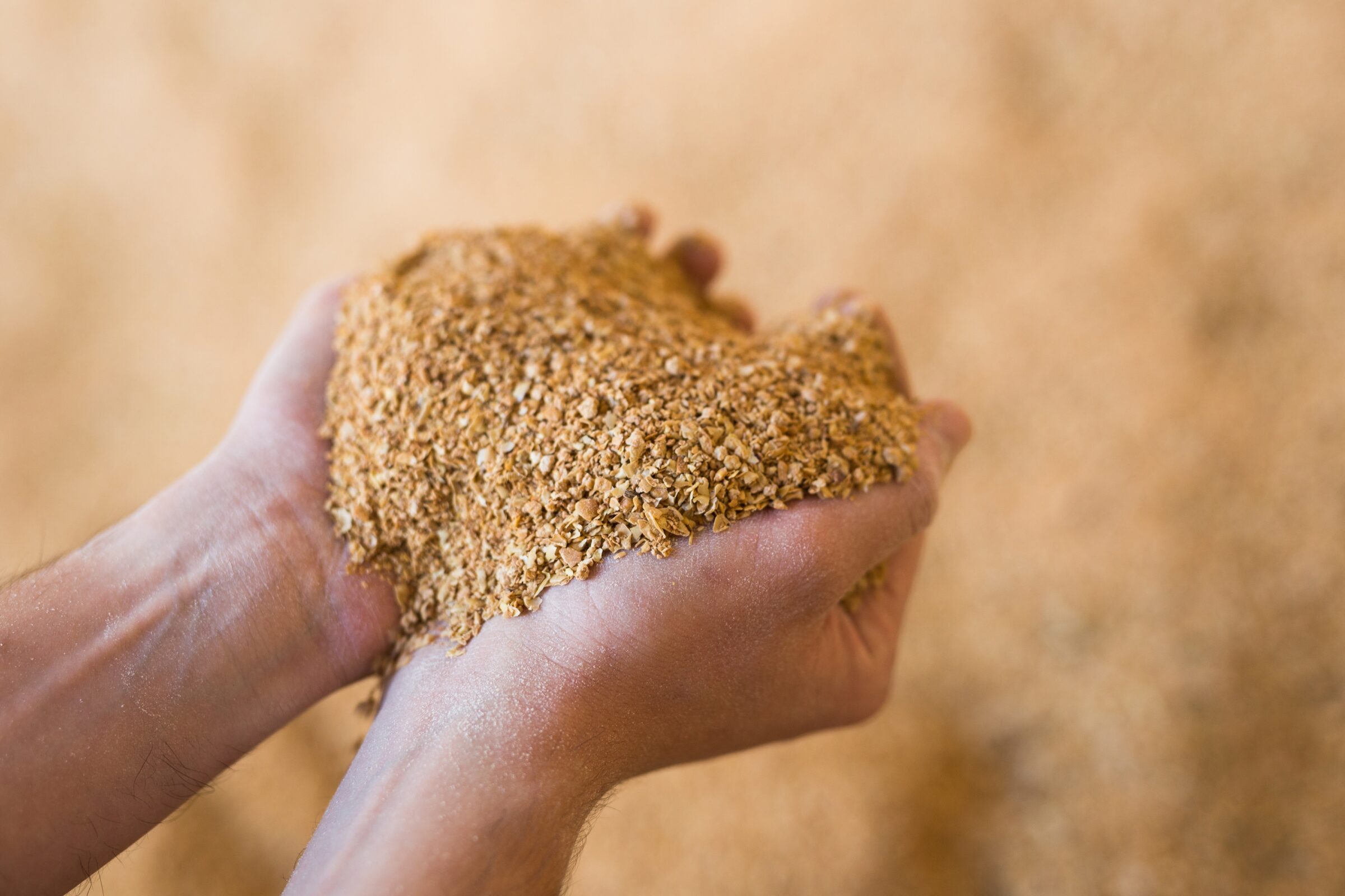 Trade Talks: Spotlight on Soy